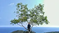 Bukit Maracah, Gunungkidul, Yogyakarta. (trip_seru/Instagram)